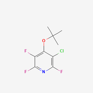 4-t-Butoxy-3-chloro-2,5,6-trifluoropyridine