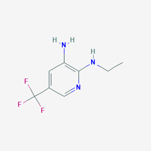 molecular formula C8H10F3N3 B8278587 N2-ethyl-5-trifluoromethylpyridin-2,3-diamine 