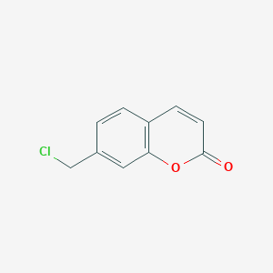 molecular formula C10H7ClO2 B8282956 7-Chloromethyl-chromen-2-one 