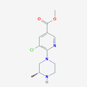 molecular formula C12H16ClN3O2 B8283465 5-Chloro-6-[(3R)-3-methyl-piperazin-1-yl]-nicotinic acid methyl ester 