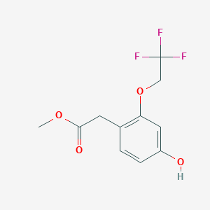 molecular formula C11H11F3O4 B8284083 Methyl 4-hydroxy-2-(2,2,2-trifluoroethoxy)phenylacetate 