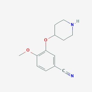 molecular formula C13H16N2O2 B8285293 4-Methoxy-3-(piperidin-4-yloxy)benzonitrile 