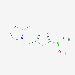 molecular formula C10H16BNO2S B8288399 {5-[(2-Methyl-1-pyrrolidinyl)methyl]-2-thienyl}boronic acid 