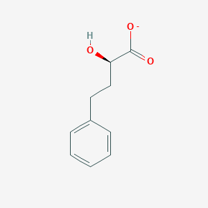 molecular formula C10H11O3- B8288549 (R)-2-hydroxy4-phenyl-butyrate 