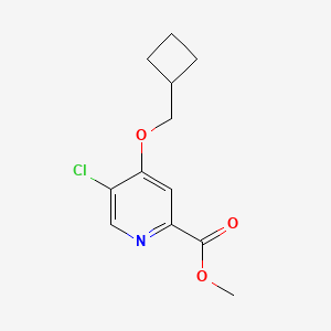 molecular formula C12H14ClNO3 B8288667 5-Chloro-4-cyclobutylmethoxy-pyridine-2-carboxylic acid methyl ester 