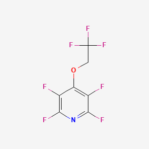2,3,5,6-Tetrafluoro-4-(2,2,2-trifluoroethoxy)pyridine