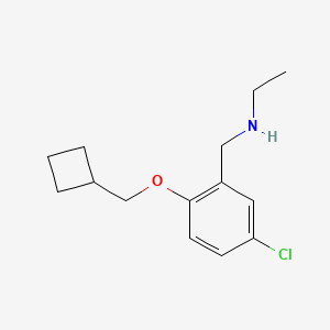 N-Ethyl 5-chloro-2-(cyclobutylmethoxy)benzylamine