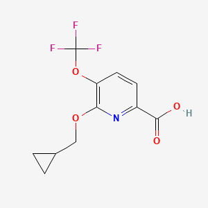 molecular formula C11H10F3NO4 B8292749 6-Cyclopropylmethoxy-5-trifluoromethoxy-pyridine-2-carboxylic acid 