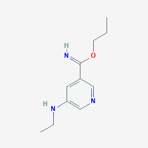 molecular formula C11H17N3O B8293153 Propyl 5-ethylamino-3-pyridinecarboximidate 