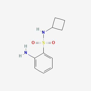 molecular formula C10H14N2O2S B8295851 2-amino-N-cyclobutylbenzenesulfonamide 
