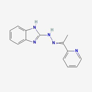 molecular formula C14H13N5 B8296124 2-{2-[1-(pyridin-2-yl)ethylidene]hydrazin-1-yl}-1H-1,3-benzodiazole 