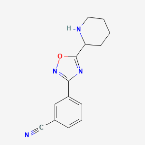 molecular formula C14H14N4O B8296209 3-(5-Piperidin-2-yl-[1,2,4]oxadiazol-3-yl)-benzonitrile 