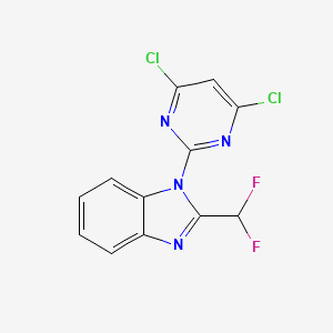 molecular formula C12H6Cl2F2N4 B8300080 4,6-Dichloro-2-(2-difluoromethylbenzimidazol-1-yl)pyrimidine 