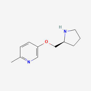molecular formula C11H16N2O B8306793 6-methyl-3-(2-(S)-pyrrolidinylmethoxy)pyridine 