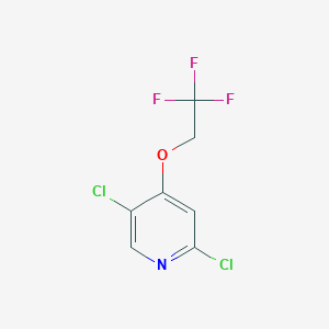 molecular formula C7H4Cl2F3NO B8307585 2,5-Dichloro-4-(2,2,2-trifluoroethoxy)pyridine 