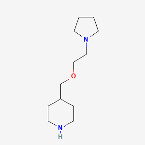 molecular formula C12H24N2O B8307613 4-(2-Pyrrolidin-1-ylethoxymethyl)piperidine 