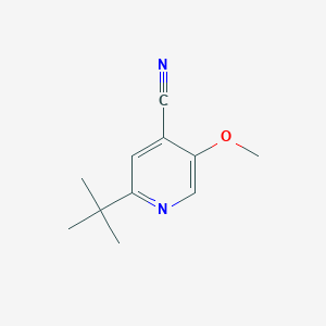 2-tert-Butyl-5-methoxy-isonicotinonitrile