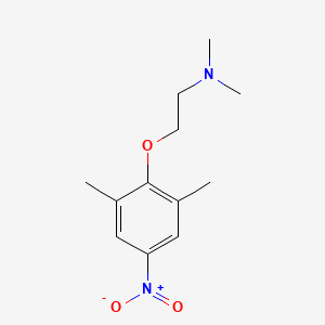 2-(2,6-dimethyl-4-nitrophenoxy)-N,N-dimethylethylamine