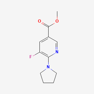 molecular formula C11H13FN2O2 B8311755 Methyl 5-fluoro-6-(pyrrolidin-1-yl)nicotinate 