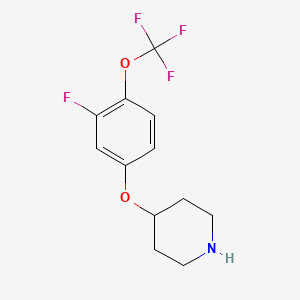 molecular formula C12H13F4NO2 B8314063 4-(3-Fluoro-4-(trifluoromethoxy)phenoxy)piperidine 