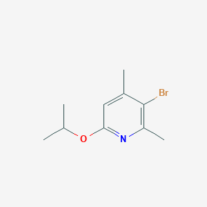 molecular formula C10H14BrNO B8314503 3-Bromo-6-isopropyloxy-2,4-dimethylpyridine 