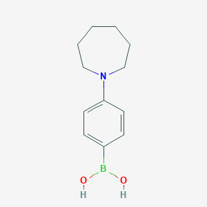 (4-Azepan-1-ylphenyl)boronic acid
