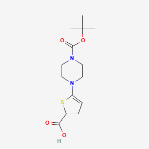 5-[4-(t-Butoxycarbonyl)piperazin-1-yl]thiophene-2-carboxylic acid
