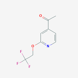 molecular formula C9H8F3NO2 B8319961 1-(2-(2,2,2-Trifluoroethoxy)pyridin-4-yl)ethanone 