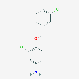 molecular formula C13H11Cl2NO B8321233 3-Chloro-4-(3-chlorobenzyloxy)aniline 