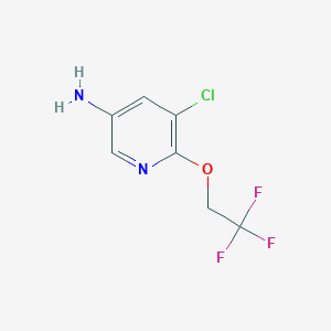 molecular formula C7H6ClF3N2O B8321731 3-Chloro-5-amino-2-(2,2,2-trifluoro-ethoxy)-pyridine 