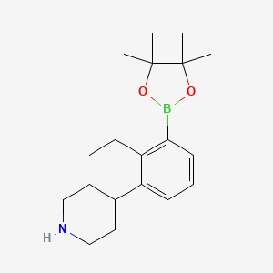 molecular formula C19H30BNO2 B8321964 4-[2-Ethyl-3-(4,4,5,5-tetramethyl-1,3,2-dioxaborolan-2-yl)phenyl]piperidine 