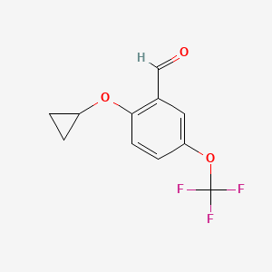 molecular formula C11H9F3O3 B8322596 2-Cyclopropoxy-5-(trifluoromethoxy)benzaldehyde 