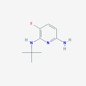 2-Amino-6-(t-butylamino)-5-fluoropyridine