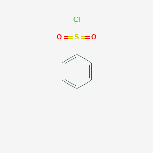molecular formula C10H13ClO2S B083295 4-叔丁基苯磺酰氯 CAS No. 15084-51-2
