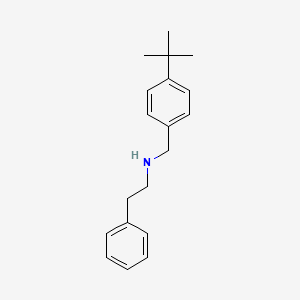 molecular formula C19H25N B8330549 (4-Tert-butyl-benzyl)-phenethyl-amine 