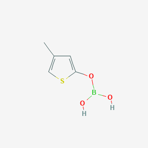 molecular formula C5H7BO3S B8330705 4-Methyl-2-thienyl boric acid 