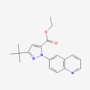 molecular formula C19H21N3O2 B8330870 ethyl 3-tert-butyl-1-(quinolin-6-yl)-1H-pyrazole-5-carboxylate 