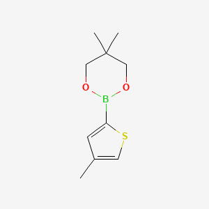 molecular formula C10H15BO2S B8331988 5,5-Dimethyl-2-(4-methylthiophen-2-yl)-[1,3,2]dioxaborinane 