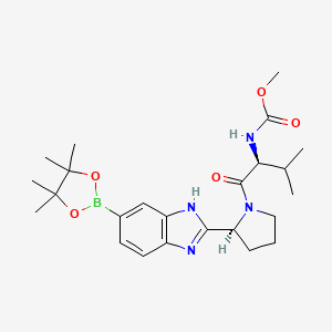molecular formula C24H35BN4O5 B8338604 methyl ((S)-3-methyl-1-oxo-1-((S)-2-(6-(4,4,5,5-tetramethyl-1,3,2-dioxaborolan-2-yl)-3H-benzo[d]imidazol-2-yl)pyrrolidin-1-yl)butan-2-yl)carbamate 