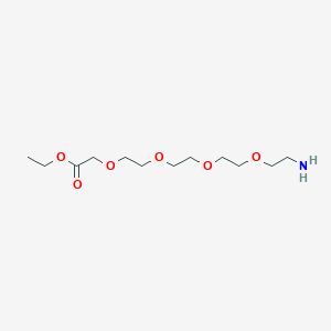 molecular formula C12H25NO6 B8339829 Ethyl 14-amino-3,6,9,12-tetraoxatetradecanoate 
