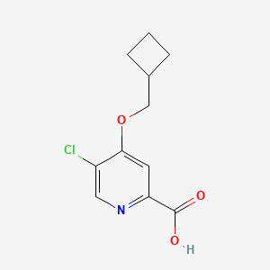 molecular formula C11H12ClNO3 B8342398 5-Chloro-4-cyclobutylmethoxy-pyridine-2-carboxylic acid 