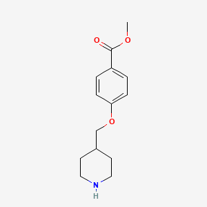 molecular formula C14H19NO3 B8343624 4-[[4-(Methoxycarbonyl)phenoxy]methyl]-piperidine 