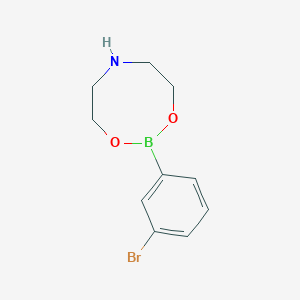 molecular formula C10H13BBrNO2 B8344183 2-(3-Bromophenyl)-[1,3,6,2]dioxazaborocane 