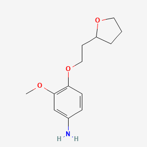 molecular formula C13H19NO3 B8346324 3-Methoxy-4-(2-(tetrahydrofuran-2-yl)ethoxy)aniline 