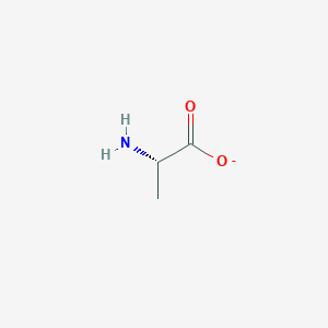 molecular formula C3H6NO2- B8346623 L-alaninate 