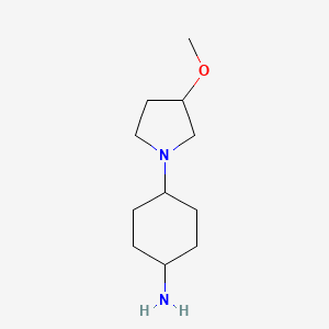 molecular formula C11H22N2O B8347407 4-(3-Methoxypyrrolidin-1-yl)cyclohexanamine 