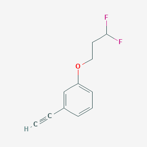 molecular formula C11H10F2O B8353592 1-(3,3-Difluoropropoxy)-3-ethynylbenzene 