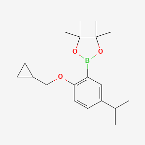molecular formula C19H29BO3 B8354358 2-[2-(Cyclopropylmethoxy)-5-(propan-2-yl)phenyl]-4,4,5,5-tetramethyl-1,3,2-dioxaborolane 