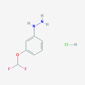(3-(Difluoromethoxy)phenyl)hydrazine hydrochloride
