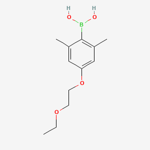 molecular formula C12H19BO4 B8356277 [4-(2-Ethoxyethoxy)-2,6-dimethylphenyl]boronic acid 